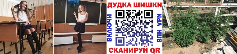 ТГК Инсар