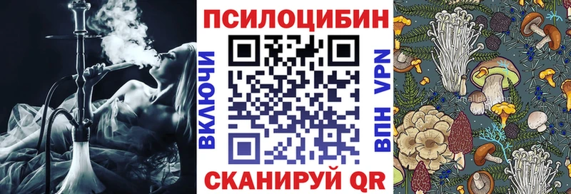 Галлюциногенные грибы мухоморы  Инсар 